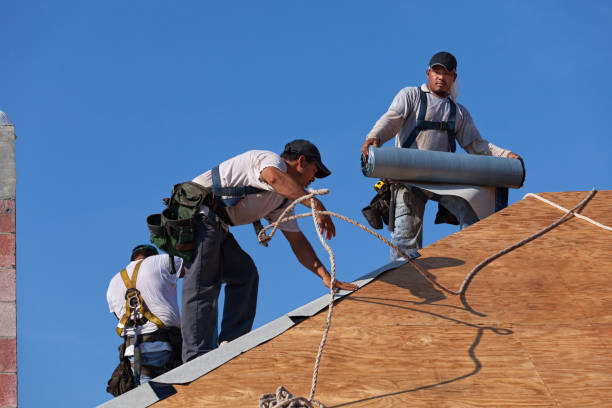 Best New Roof Installation  in Rochelle, GA